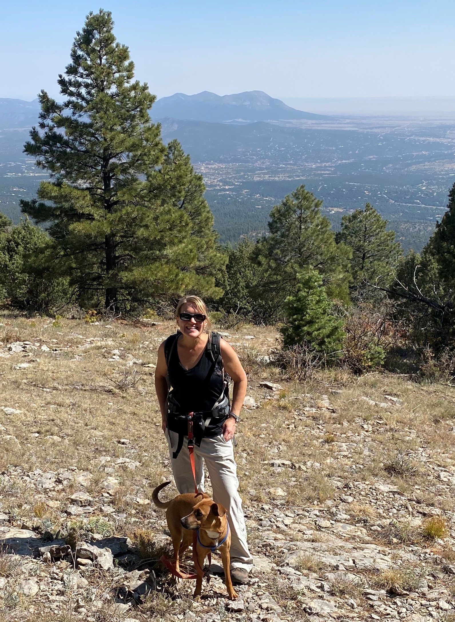 Person with dog and mountains in background