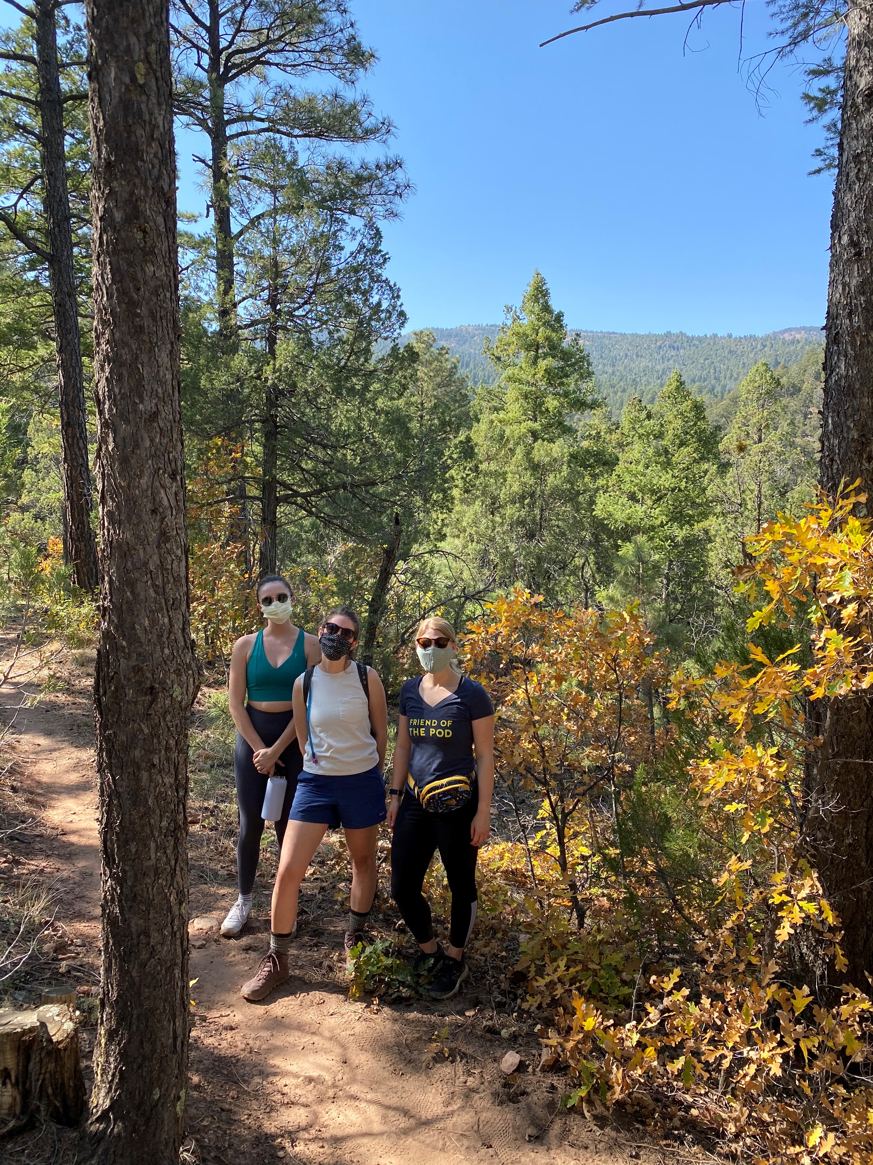 Three people in trees on mountainside wearing masks